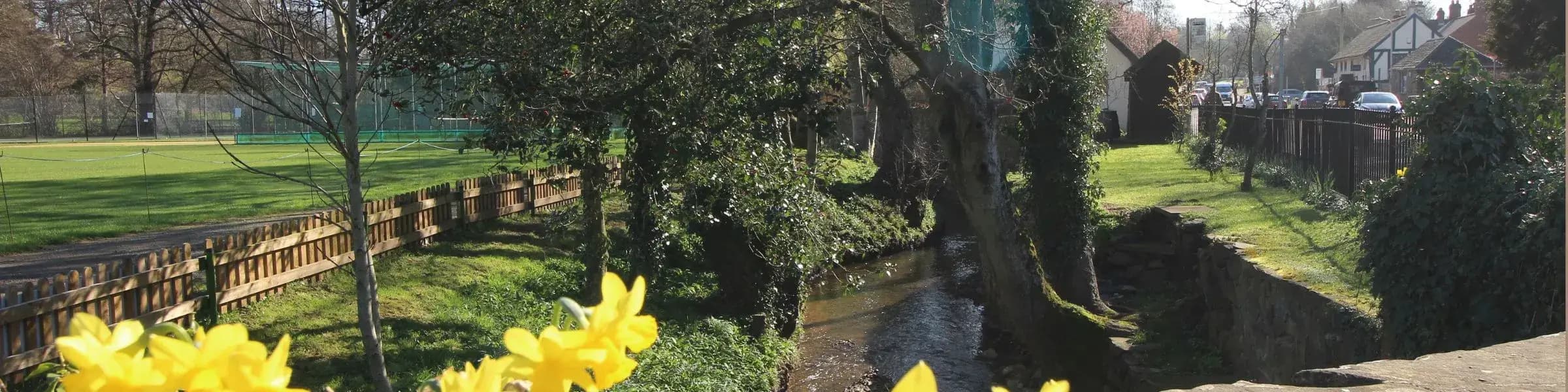 Bradgate-News-Banner (1) (1)