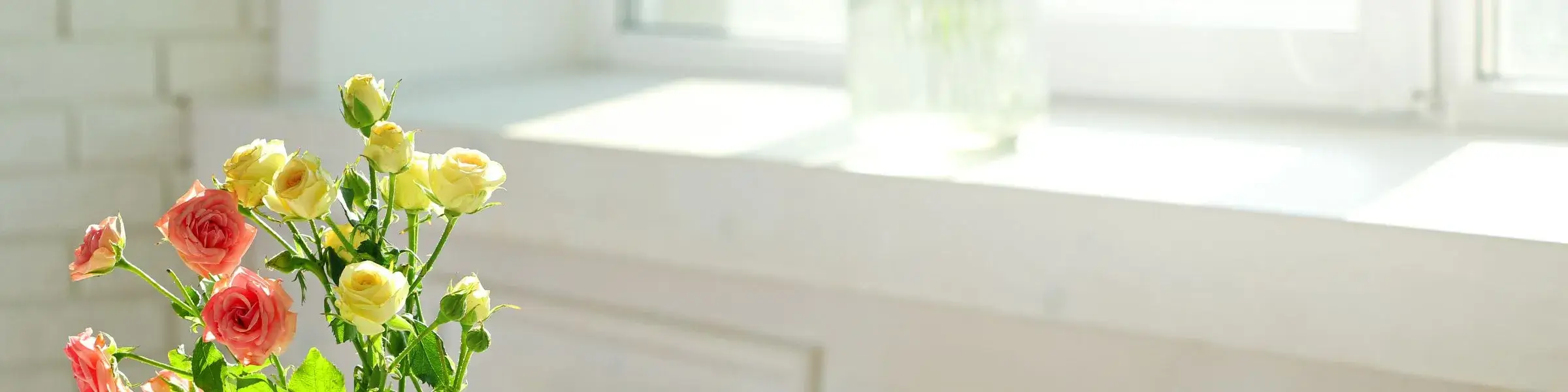 spring-styling-banner (1)