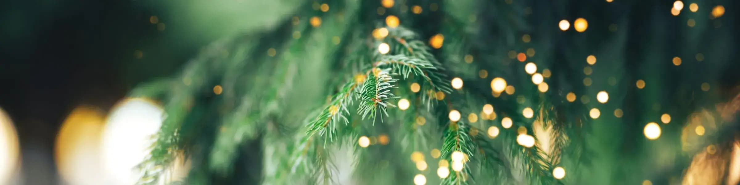 Christmas-News-Banner (1)