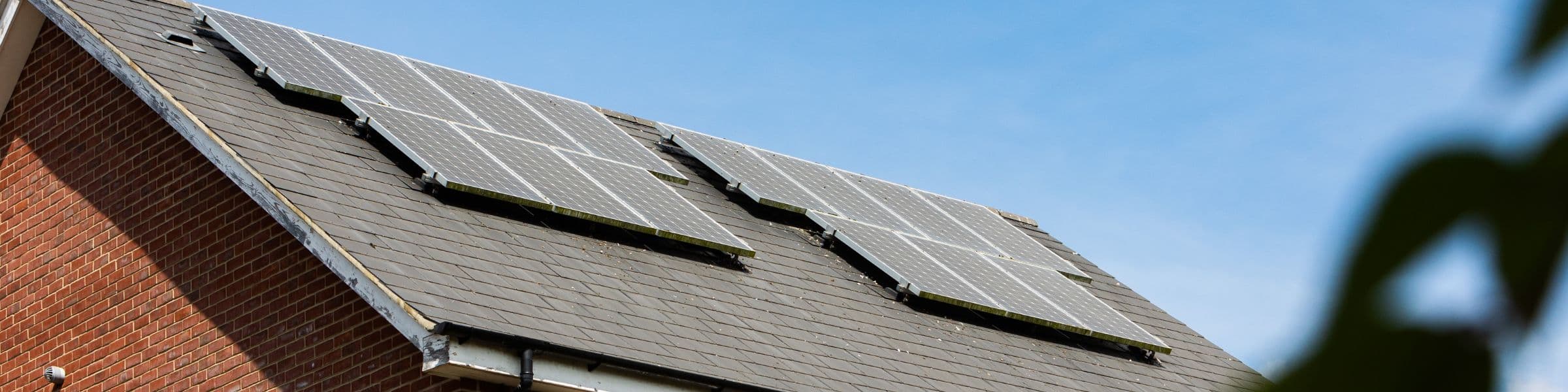 sustainability banner