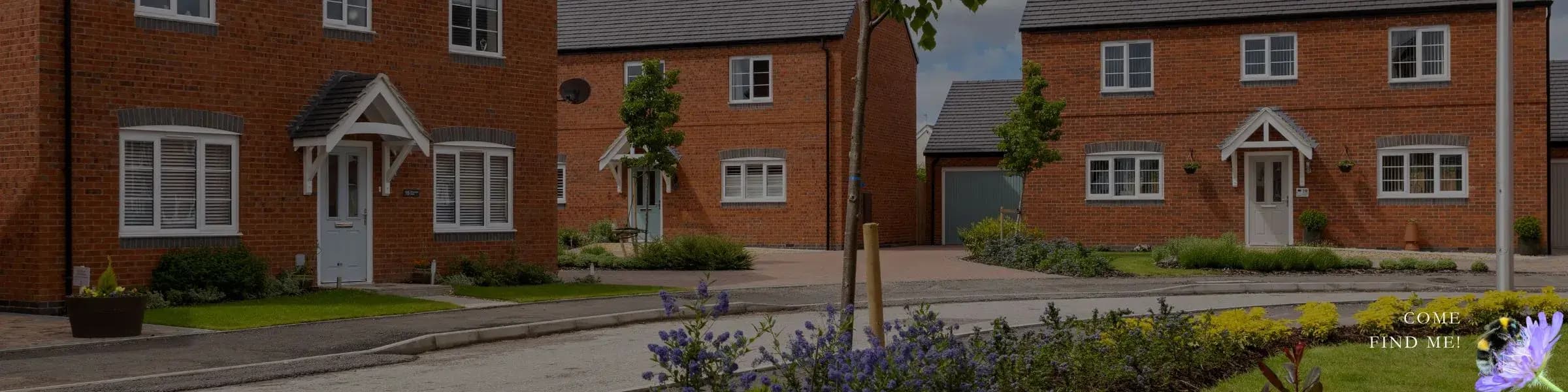 June-Open-Weekend-News-Banner (1)